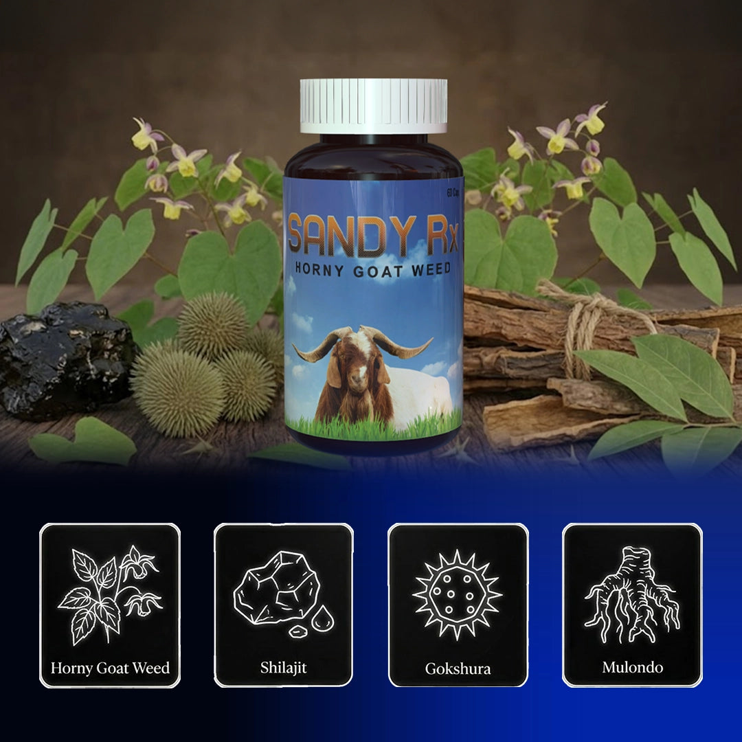 Sandy RX