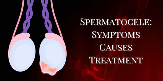 Spermatocele Disease in Testicles - Liv Muztang