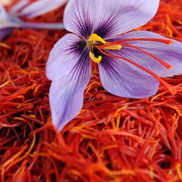 Kesar