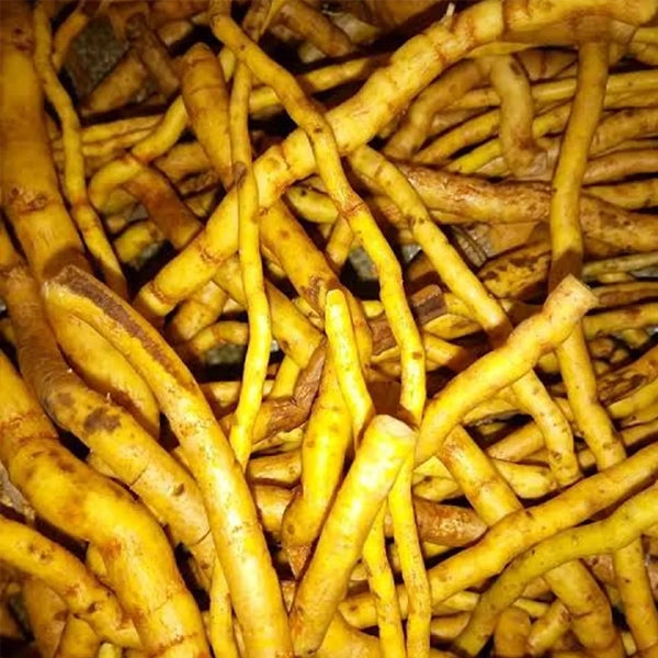 Mulondo 