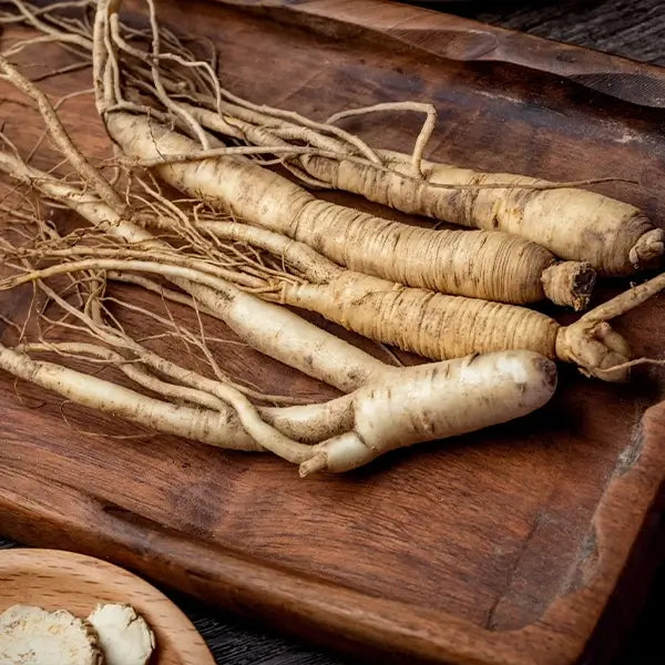 Panax Ginseng
