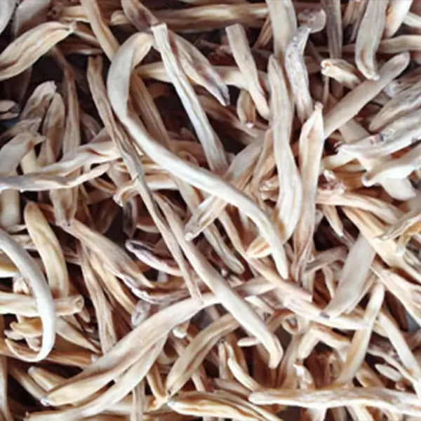 Safed Musli