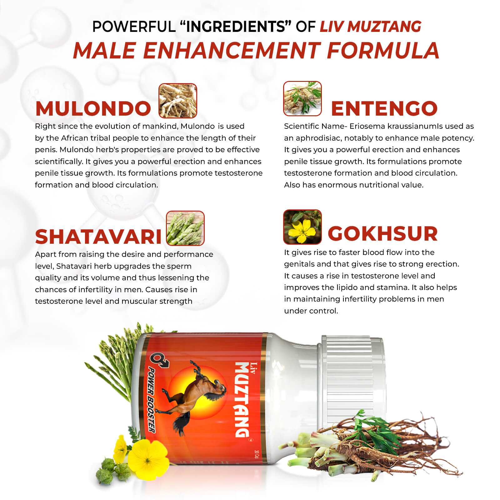 Testicular Enhancement and Implant Procedures