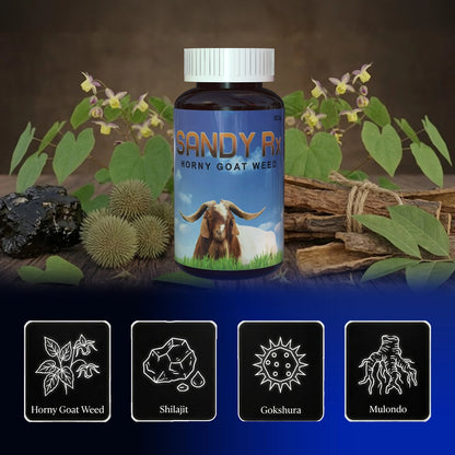 Sandy RX
